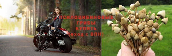 спайс Алексин