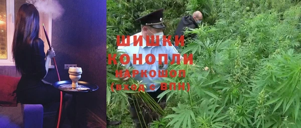 стафф Майский
